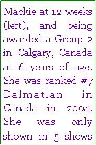 Text Box: Mackie at 12 weeks (left), and being awarded a Group 2 in Calgary, Canada at 6 years of age. She was ranked #7 Dalmatian in Canada in 2004.  She was only shown in 5 shows 